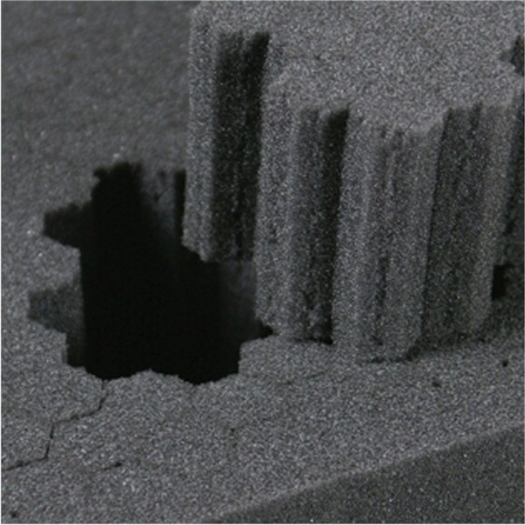 Vanguard Estojo impermeável, forro de espuma Supreme 37F