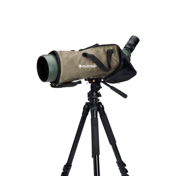 Celestron Telescópio terrestre Regal M2 100ED