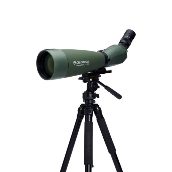 Celestron Telescópio terrestre Regal M2 100ED