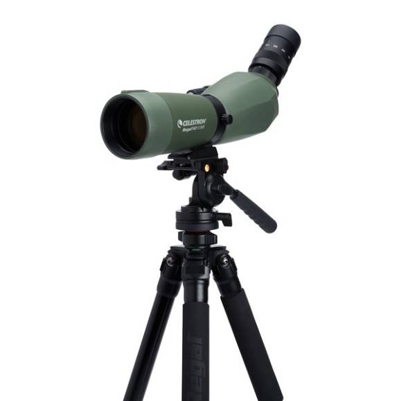 Celestron Telescópio Terrestre Regal M2 65 ED 52304