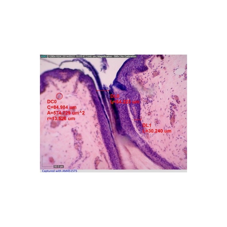 Dino-Lite Microscópio digital USB...