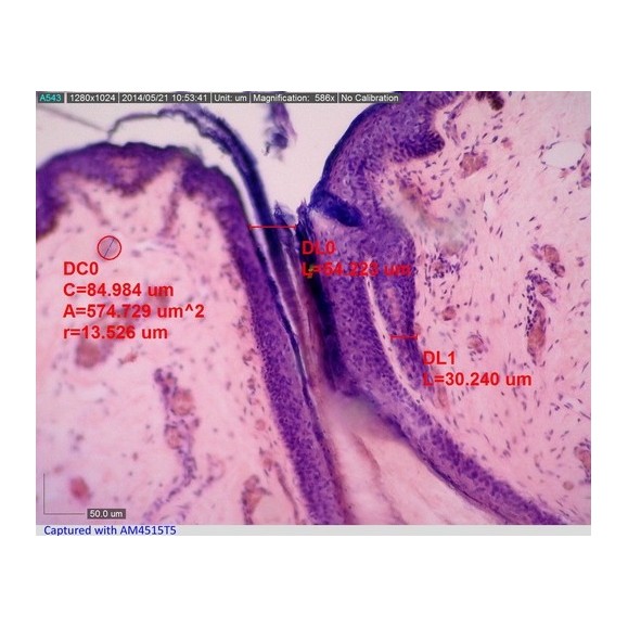 Dino-Lite Microscópio digital USB AM4515T8 EDGE