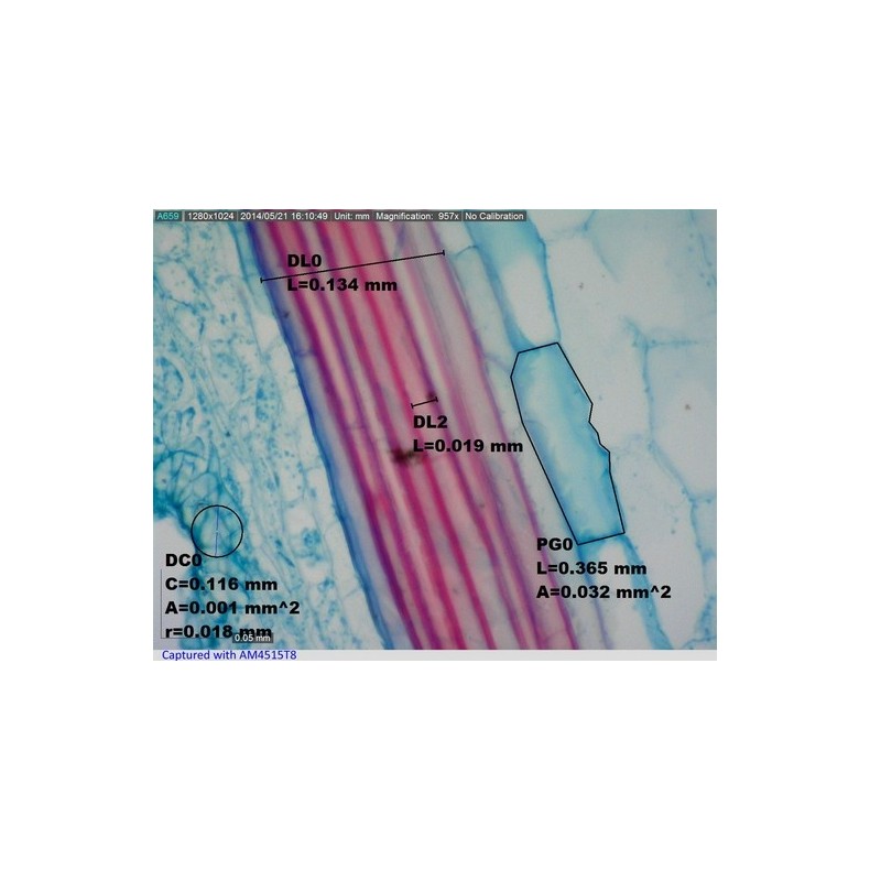 Dino-Lite Microscópio digital USB...