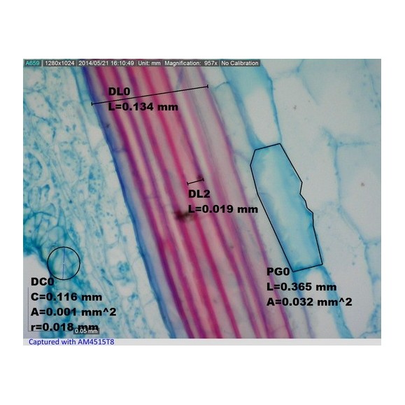 Dino-Lite Microscópio digital USB AM4515T8 EDGE
