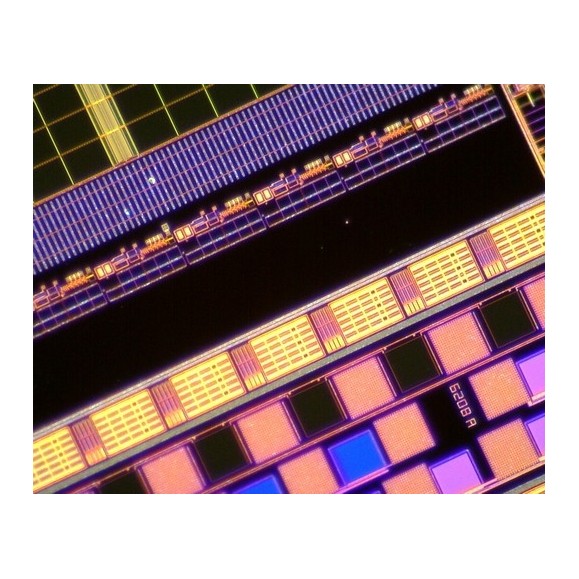 Dino-Lite Microscópio digital USB AM4515T8 EDGE