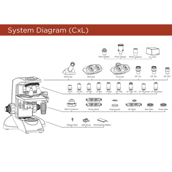 Microscópio de polarização triocular LABOMED CxL POL POL 75317
