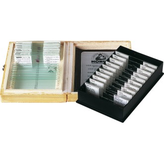 Amostras preparadas BIOLOGY...