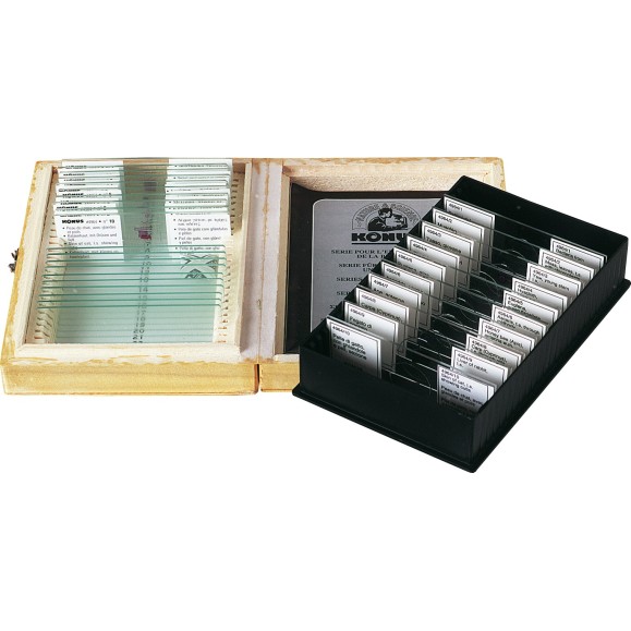 Amostras preparadas BIOLOGY TEACHING SERIES 1 4963