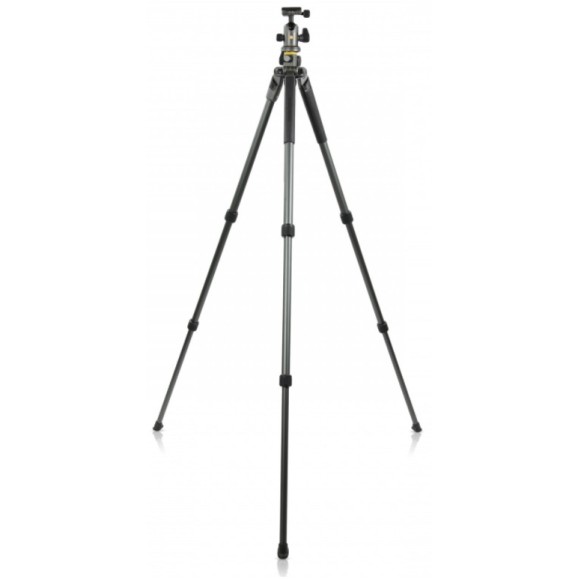 Vanguard Tripé de alumínio Alta Pro2+ 263AB 100