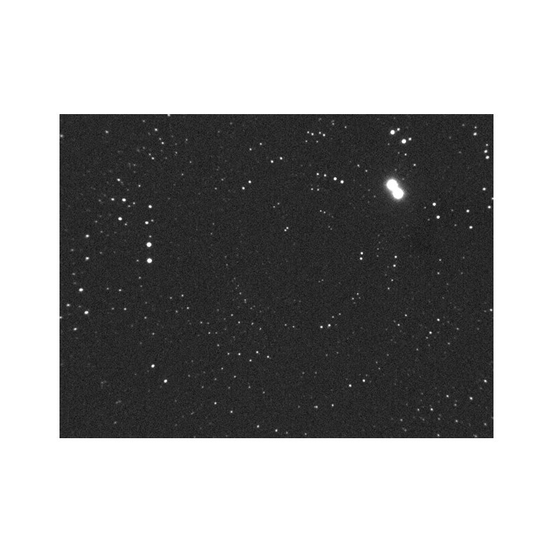 Monitor de visualização SBS SM-2