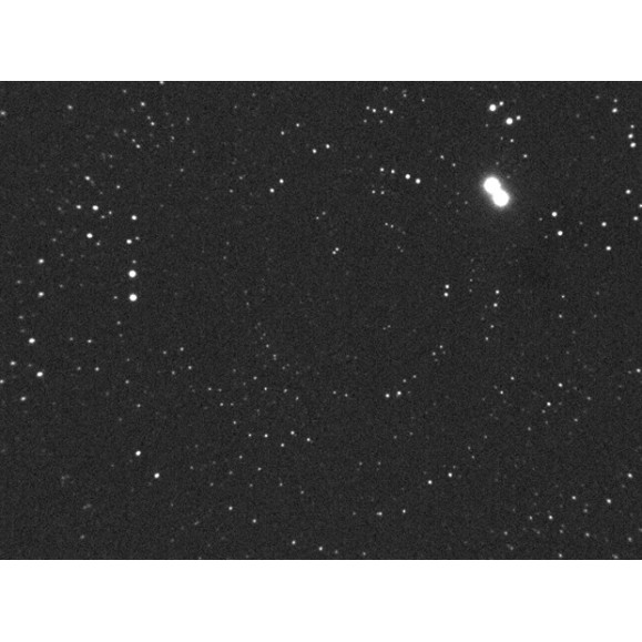 Monitor de visualização SBS SM-2