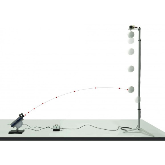 Paradoxo do macaco e do cervo OPTIKA SCIENCE