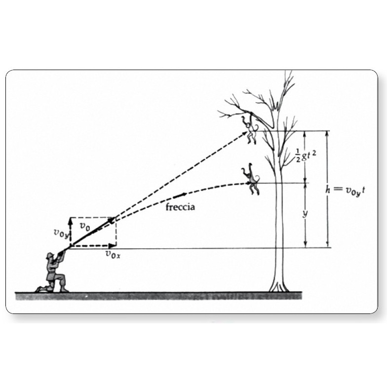 Paradoxo do macaco e do cervo OPTIKA... Paradoxo do macaco e do cervo OPTIKA...