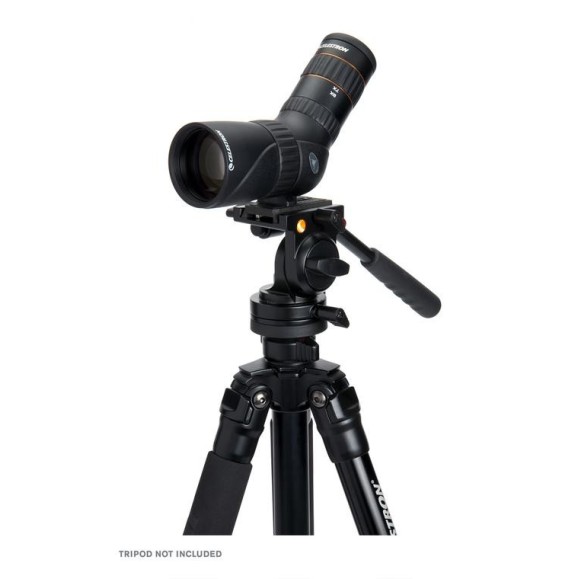 Celestron Telescópio terrestre Hummingbird ED 9-27x56 45°