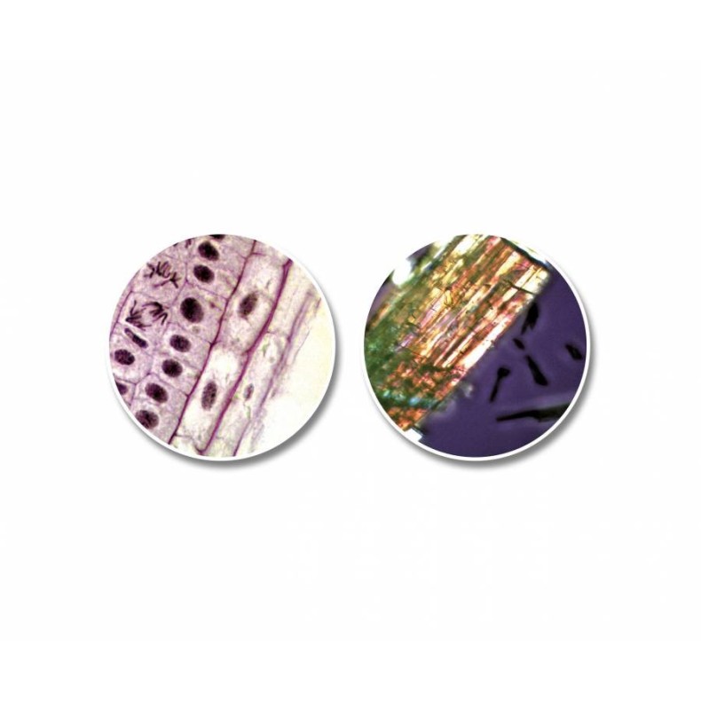 National Geographic Kit de... National Geographic Kit de...