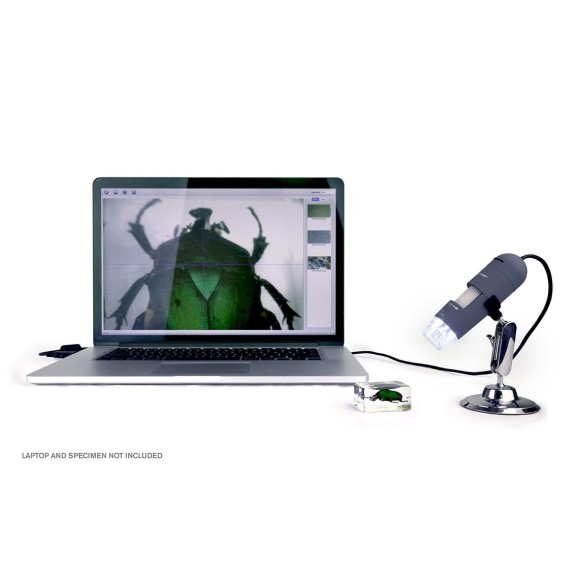 Celestron Microscópio digital 44302-C