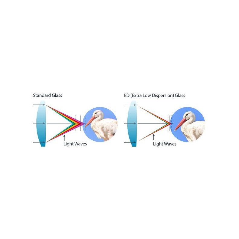 Celestron Binóculos Trailseeker ED 10X42
