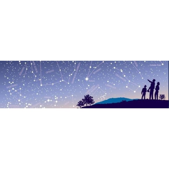 Livro Sky Guide 2020