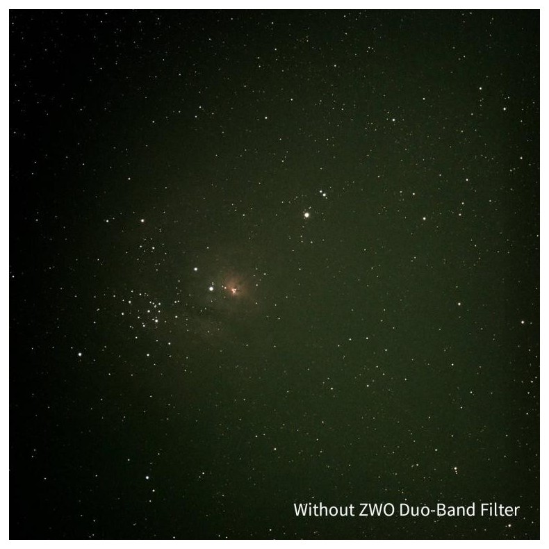 ZWO Filtro Duo-Band 2"