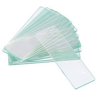 Levenhuk Slides vazios de...