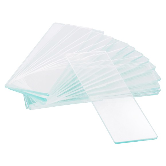 Levenhuk Slides vazios de cavidade única G50 1H, 50 pçs