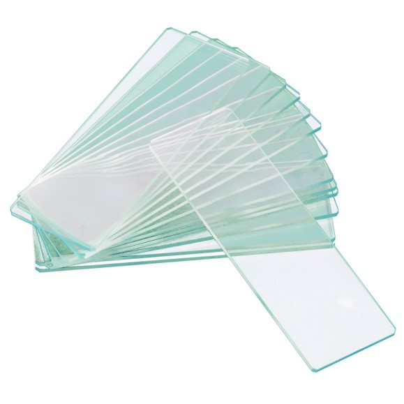 Levenhuk Slides vazios de duas cavidades G50 2H, 50 pçs