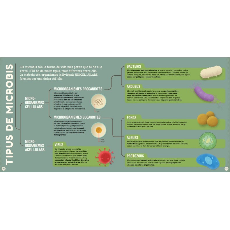Microbis (EN CATALÀ)