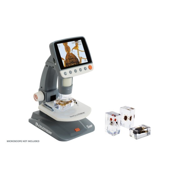 Kit de preparações 3D para insectos n.º 4