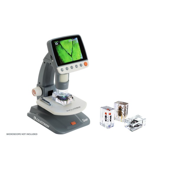 Kit de preparações 3D para insectos n.º 5