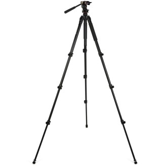 Celestron Tripé Regal Premium