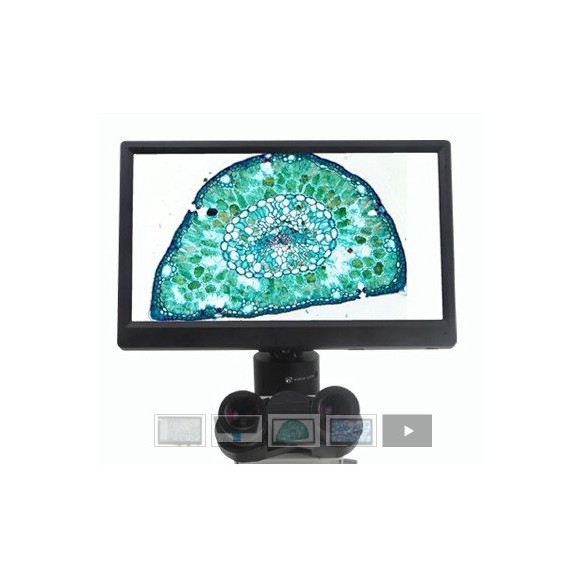 BMS Ecrã CellPad 3 Wifi 5Mp HDMI