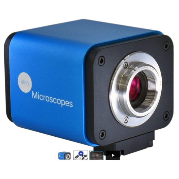 BMS Câmara AUTOFOCUS WIFI e ligação HDMI 2.0 MP