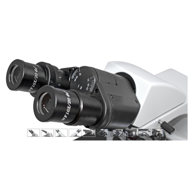 BMS Microscópio biológico binocular...