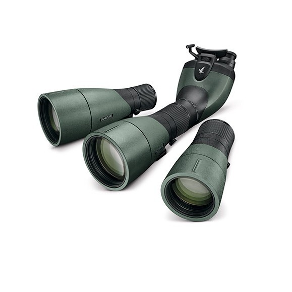 SwarovskiTelescópio terrestre , Módulo binocular BTX