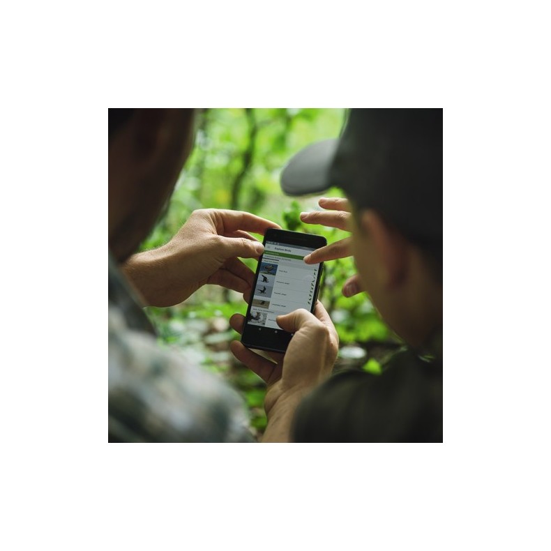 Binóculos Swarovski binóculos 10x42... Binóculos Swarovski binóculos 10x42...