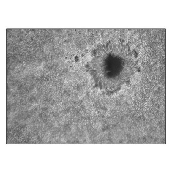 TS Prisma solar de 1,25" com filtro polarizador de banda estreita