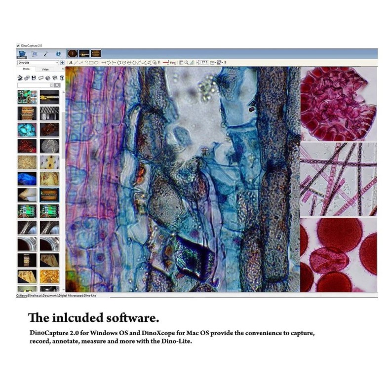 Dino-Lite Câmara ocular AM7025X