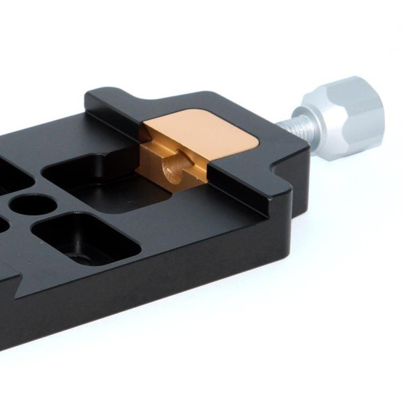 TSSuporte fêmea -Ópticos Tipo Premium Losmandy