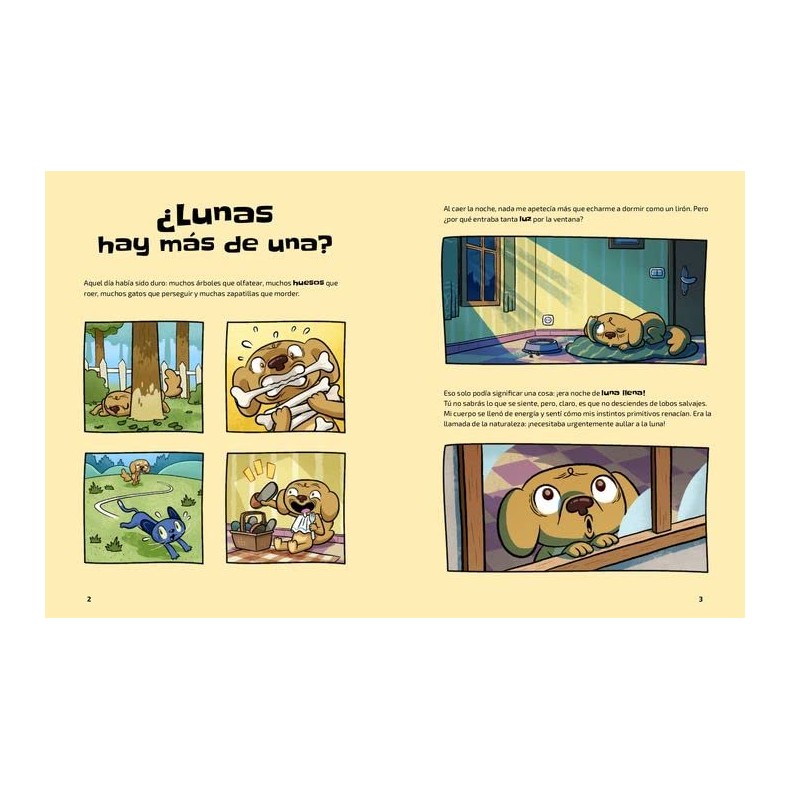 Livro O Universo (Nanda Rea) Livro O Universo (Nanda Rea)