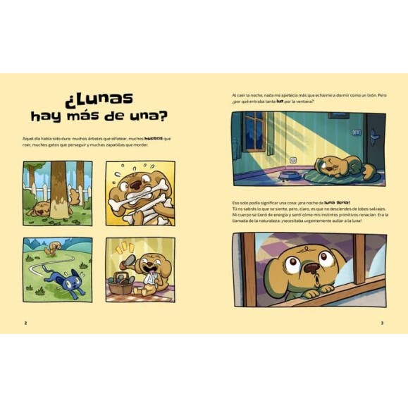 Livro O Universo (Nanda Rea)