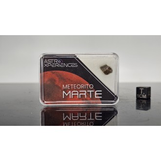 Meteorito de Marte Erg...