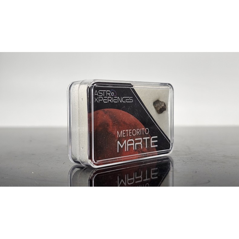 Meteorito de Marte Erg Chech 012 Meteorito de Marte Erg Chech 012