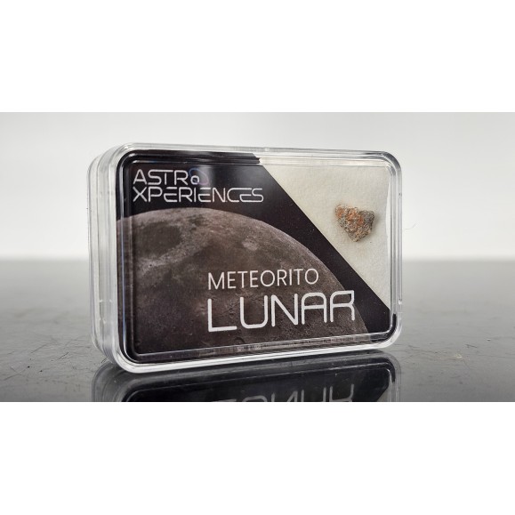 Meteorito lunar Bechar 007