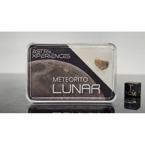 Meteorito lunar Bechar 007