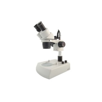 Microscopio Estereoscópico BMS 11-B-2L