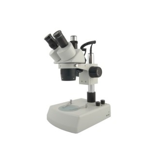 Microscopio Estereoscópico BMS 11-B-2L