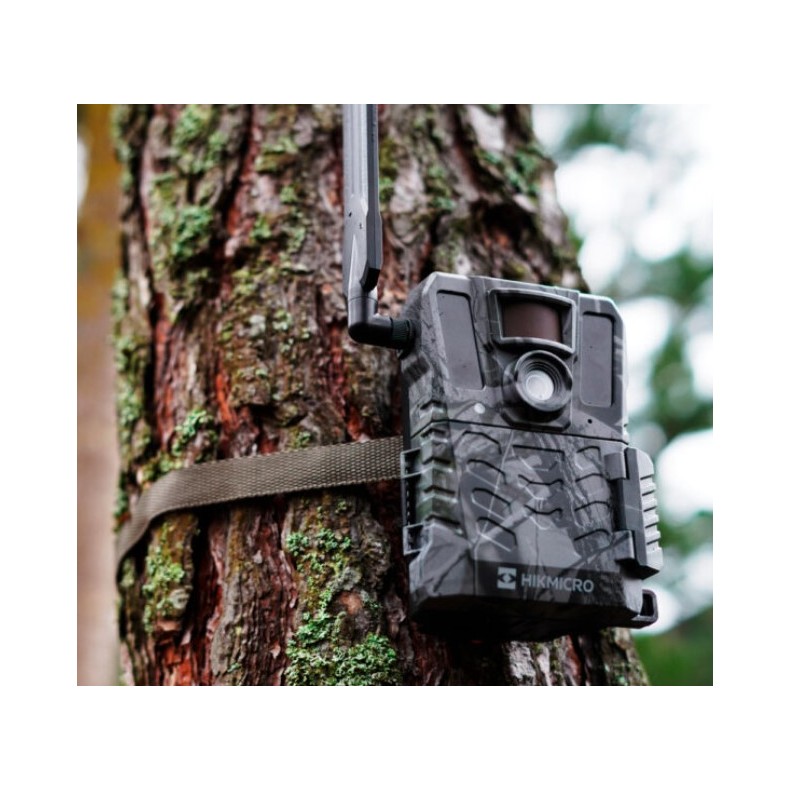 Câmara fotográfica de armadilha M15...