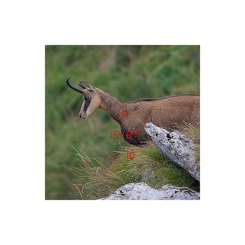 GPO Binóculos RANGEGUIDE 3200 10x40... GPO Binóculos RANGEGUIDE 3200 10x40...