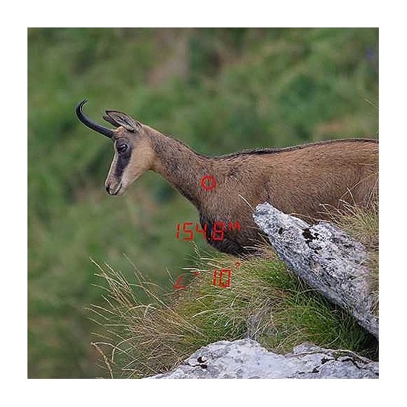 GPO Binóculos RANGEGUIDE 3200 10x40 Preto