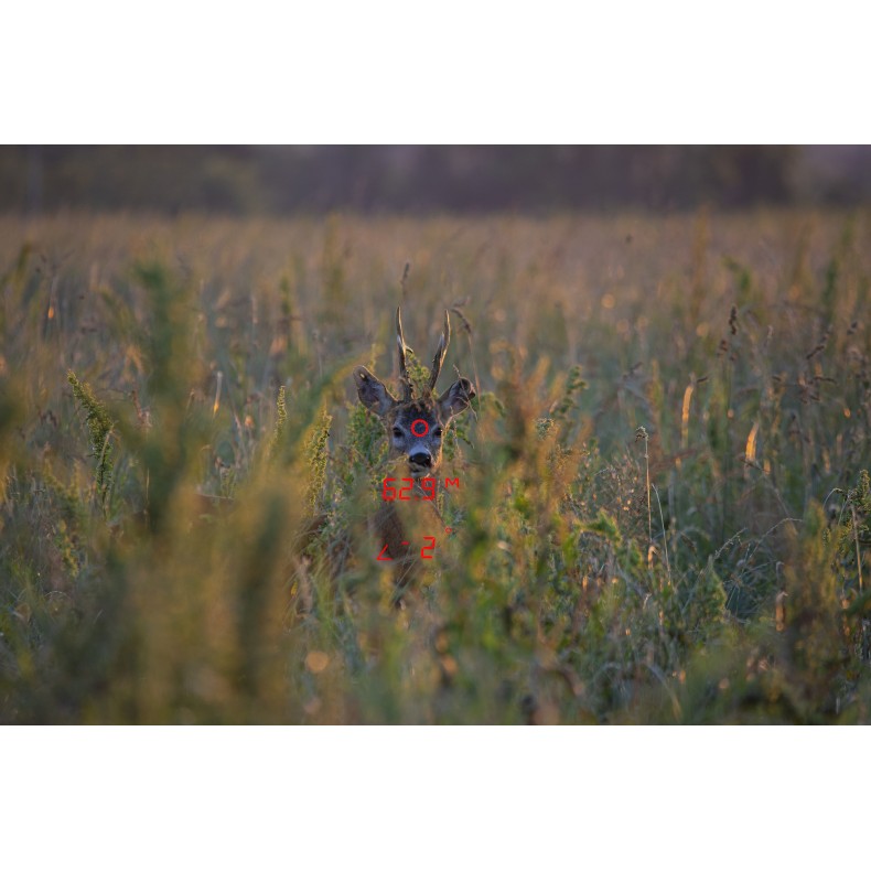 GPO Binóculos RANGEGUIDE 2800 8×50 preto